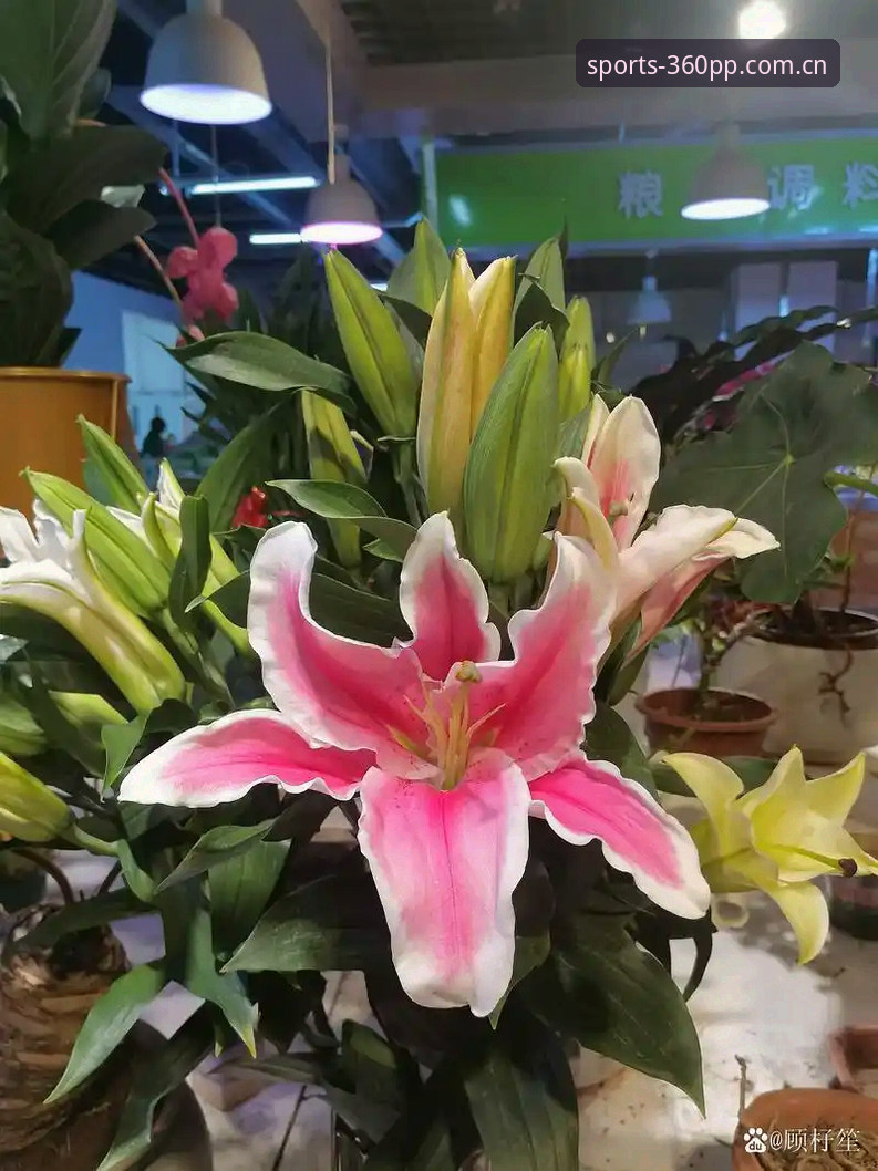 交易市场的风向，总能先闻到硝烟味